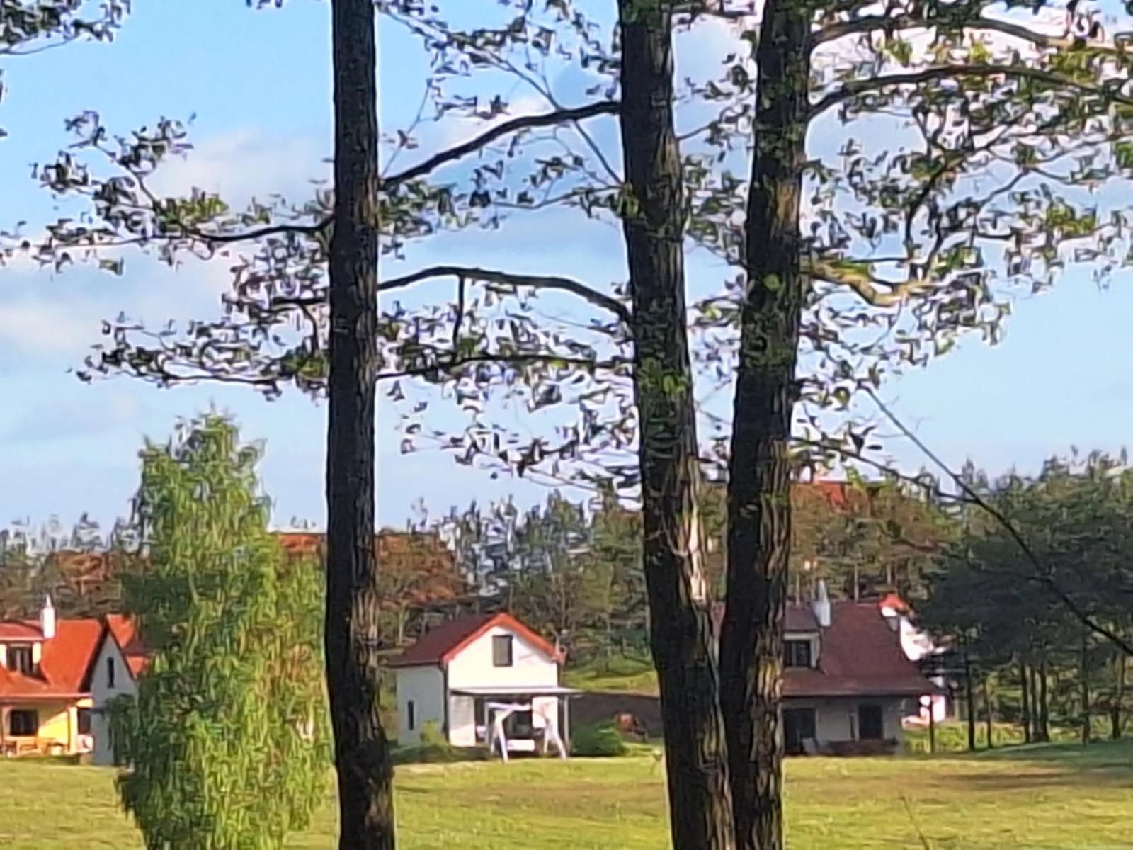 Posiadlosc Nad Zatoka Рин Номер фото